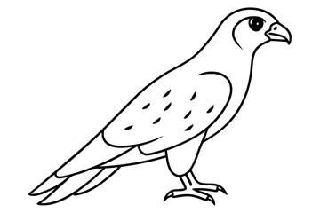 falcon bird line art silhouette vector illustration
