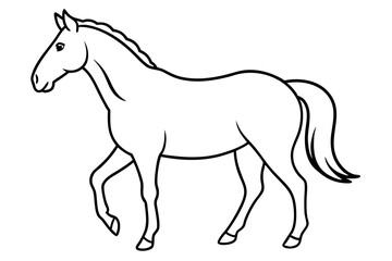 Horse line art silhouette vector illustration