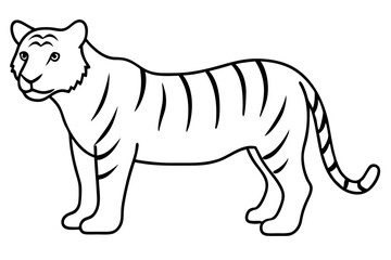tiger line art silhouette vector illustration