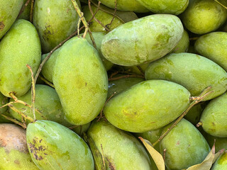 green and fresh mangoes in the market.