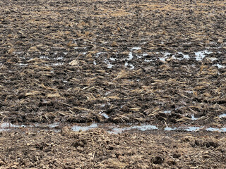 field of dry land for agriculture