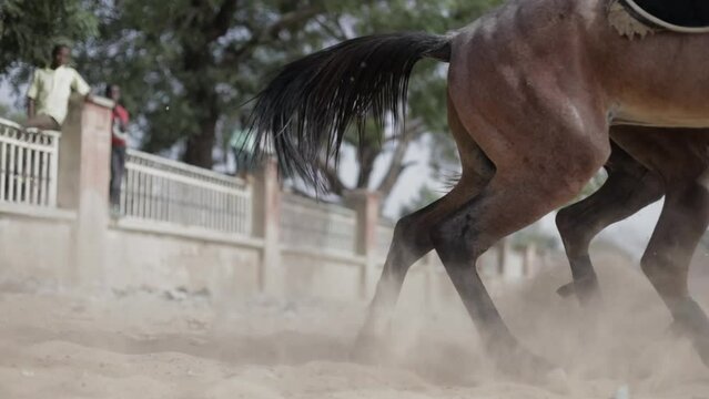 Horses Take Off.