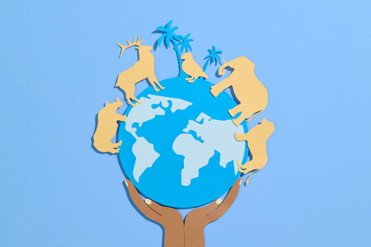 World Animal Day World Wildlife Day Groups of wild beasts
