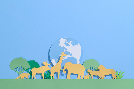 Animals on the planet, animal shelter, wildlife sanctuary.