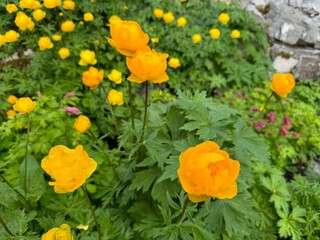 Cascade of Time Garden, Banff, Canada