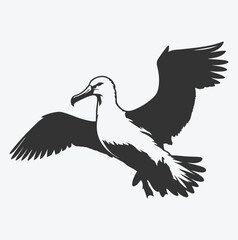 Obraz premium Majestic Albatross Silhouette Collection, Ideal for Art and Design Enthusiasts