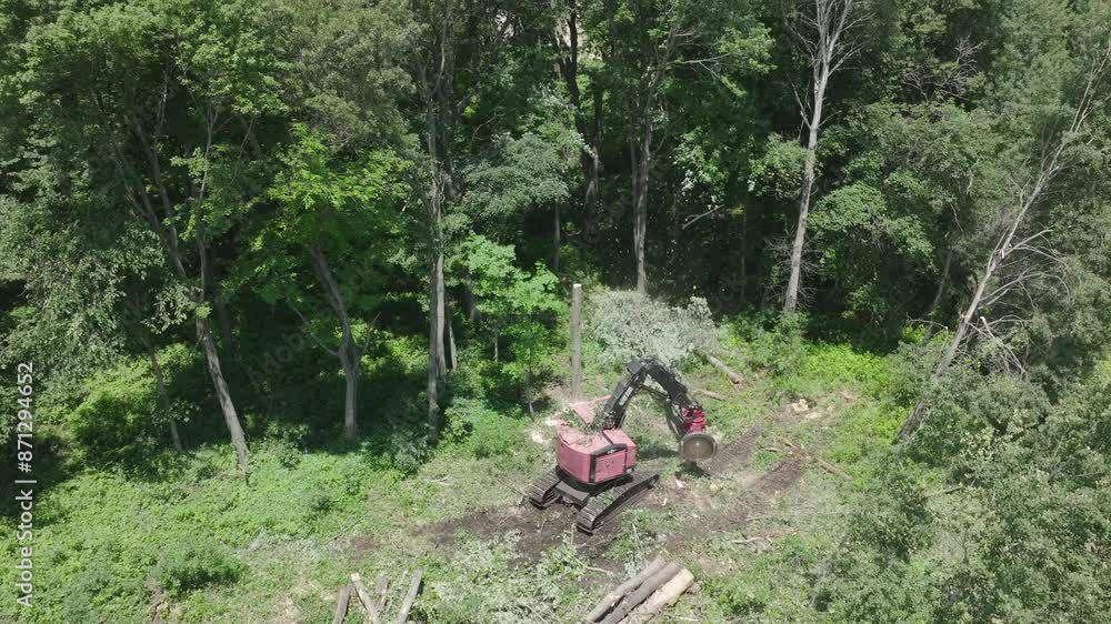 Poster fully automated machines taking out cut trees in forest after deforestation. aerial shot.