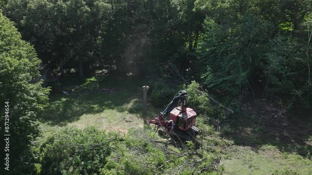 Poster automated lumberjack machine gripping the cut trees and stacking them in a forest. aerial view.