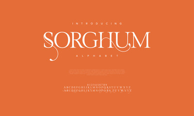 Sorghum premium luxury elegant alphabet letters and numbers. Vintage wedding typography classic serif font decorative vintage retro. creative vector illustration