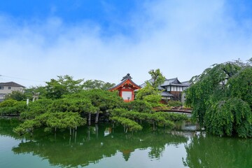 Fototapeta premium 小さなお社と池の上に伸びた立派な枝ぶりの松のコラボ情景