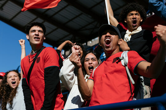 From below of excited fans celebrating victory at a game in stadium