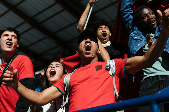 From below of excited fans celebrating victory at a game in stadium