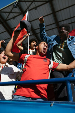 From below of excited fans celebrating victory at a game in stadium