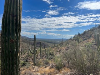 Tanque Verde, Arizona
