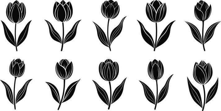 illustration of tulip flower set silhouette