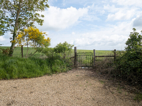 pasture and gate