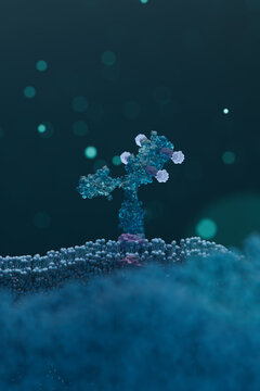 3D Biomedicine scene with Antibodies