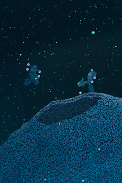 3D Biomedicine scene with Antibodies