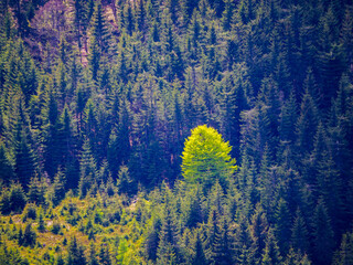 Semmering mountain Austria