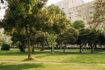 Urban park in Portugal