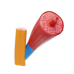 3D Muscle tissue allows the body to move. 3D Icon