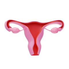 3D Female reproductive organ ovaries. 3D Icon