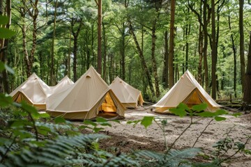 Tents campsite surrounded by lush forest trees and ferns in nature wilderness outdoor adventure scene concept