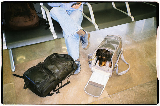 Film photo of a person and her dog waiting in an airport lounge
