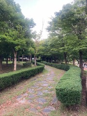 공원의산책로