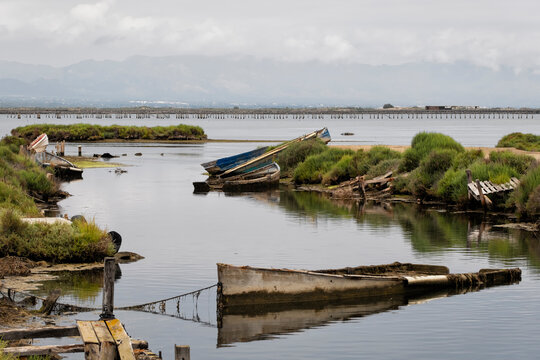 Boat Cemetery In Delta Ebro