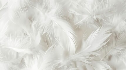 White color soft feathers background. Generative AI