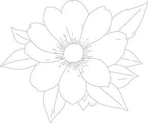 hand drawn flower