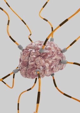Wired brain concept