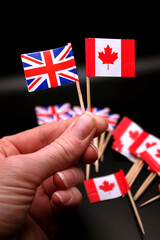 British & Canadian Flags Miniature Canada and England Cupcake Toppers