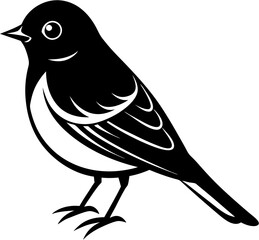 JAY BIRD
