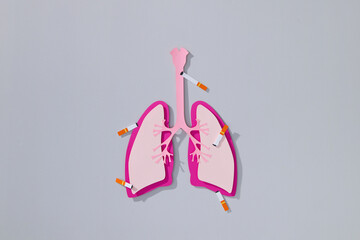 A visual representation of a human lung model containing a cigar