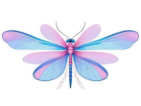 Dragonfly. Colorful. Clipart. Separate transparent background.