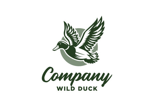 Flying Mallard Duck Logo Design For Any Company 