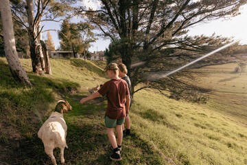 Teenage boys approaching goat in golden afternoon light