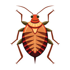 illustration of bed bug insect on white
