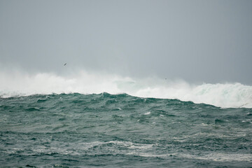 Waves in the ocean