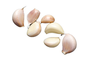 Garlic isolated on white 