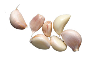 Garlic isolated on white 