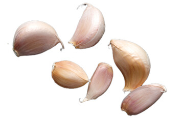 Garlic isolated on white 