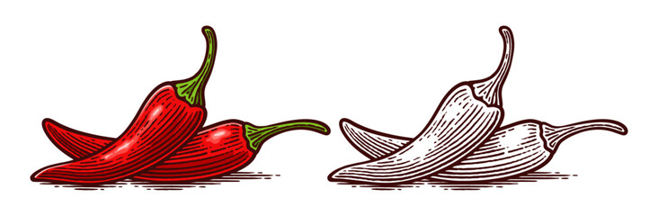Hand Drawn Chili Pepper, Line Art Engraving Style Vector Illustration, Monochrome and Color Versions