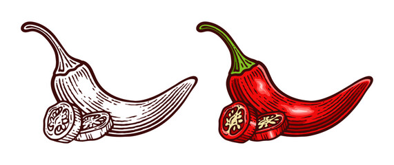 Hand Drawn Chili Pepper, Line Art Engraving Style Vector Illustration, Monochrome and Color Versions