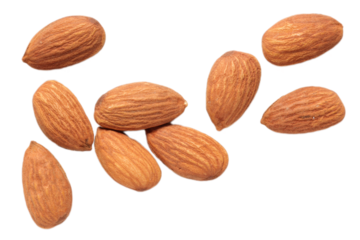 Isolated of almond nut 