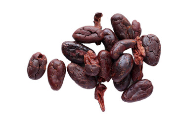 Isolated of cocoa 