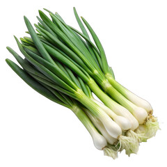 Obraz premium Green spring onion isolated on transparent background