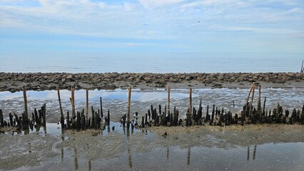 Sea shore dam and bammboo pole for protect wave beside ocean land scape on cloudy morning day.